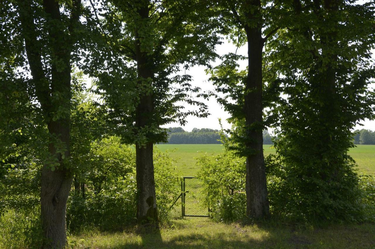 Villa Mamrowisko Węgorzewo Esterno foto
